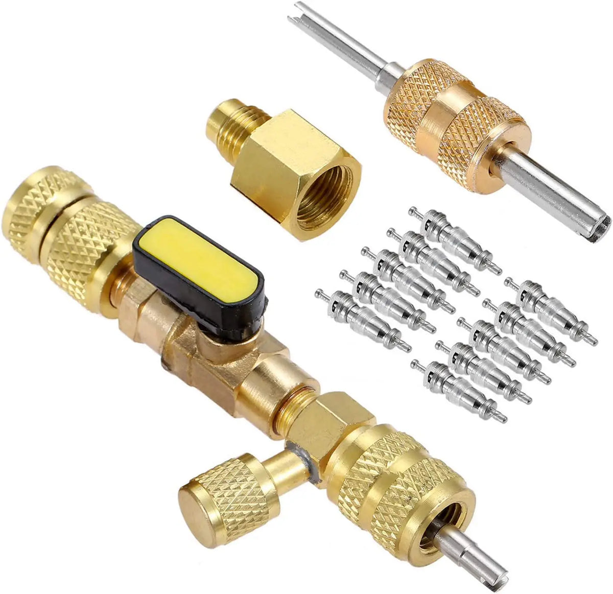 Dual Size 1/4" & 5/16" Port Valve Core Remover Installer Kit Tool with 10PCS 5v1 Valve Cores and Double Head for Refrigerant