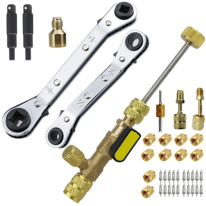 Dual Size 1/4" & 5/16" Port Valve Core Remover Installer Kit Tool with 10PCS 5v1 Valve Cores and Double Head for Refrigerant